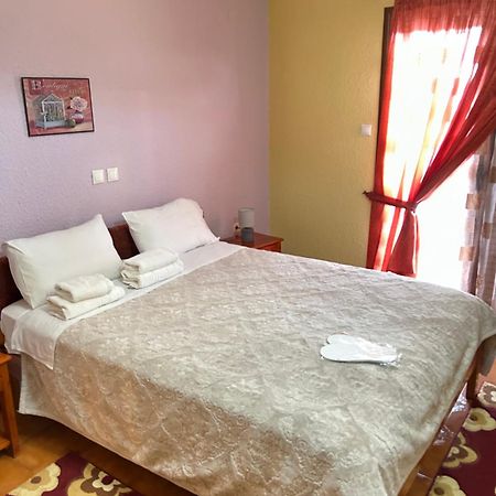 Hotel Aoos Kónica Kültér fotó