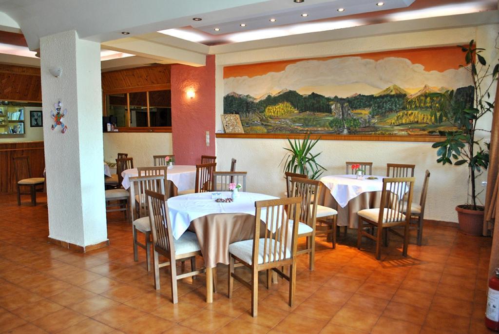 Hotel Aoos Kónica Kültér fotó