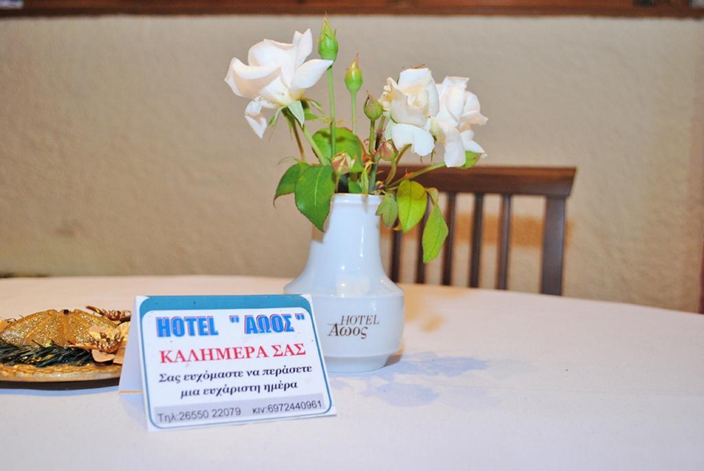 Hotel Aoos Kónica Kültér fotó