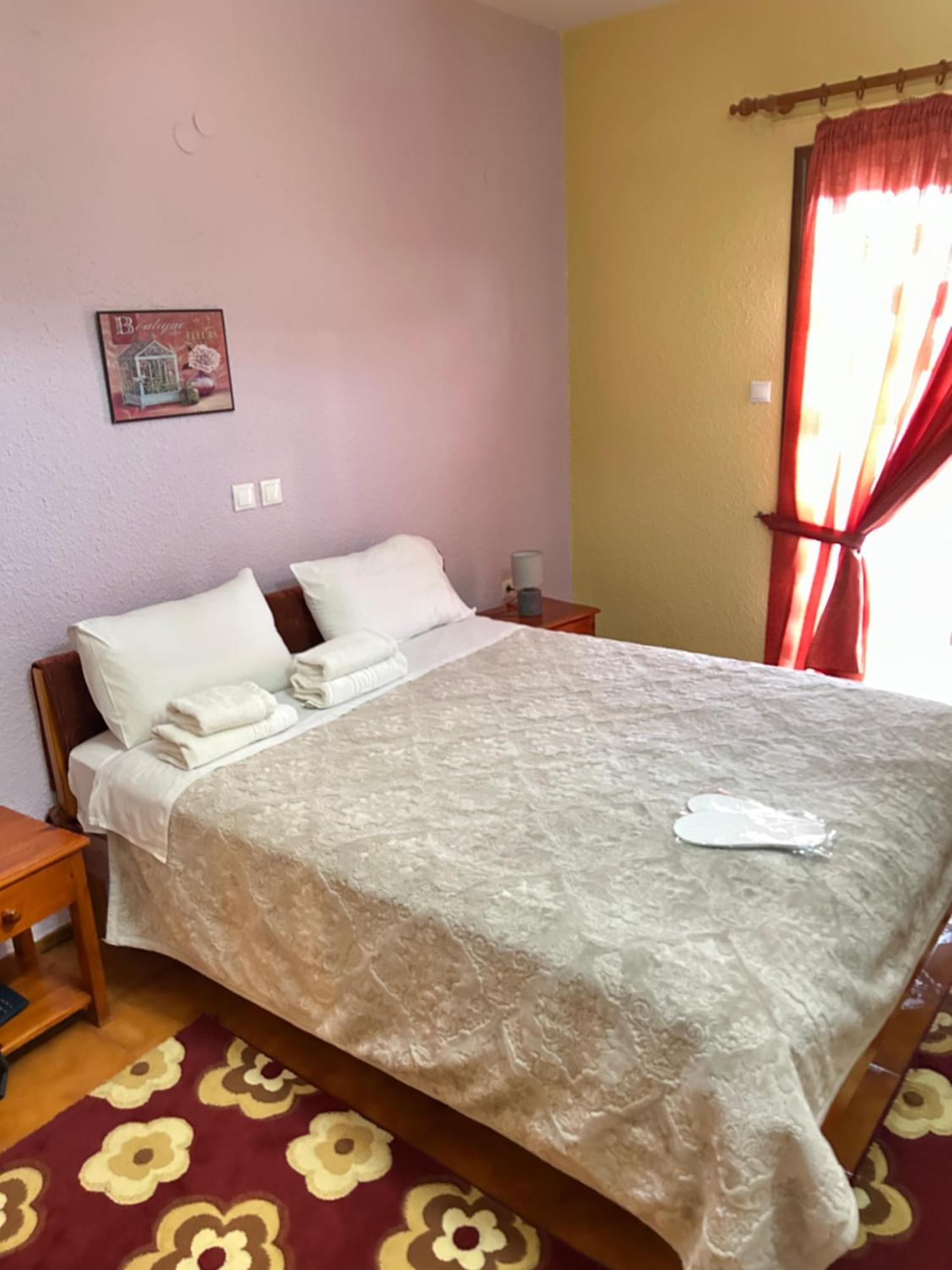 Hotel Aoos Kónica Kültér fotó