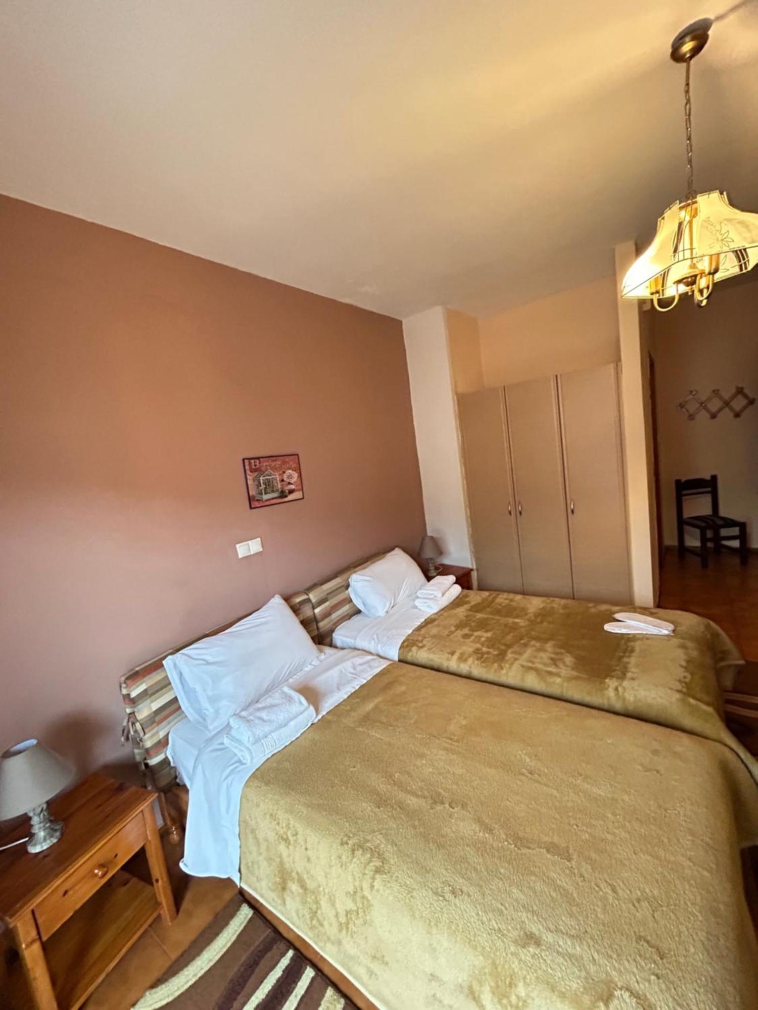 Hotel Aoos Kónica Kültér fotó