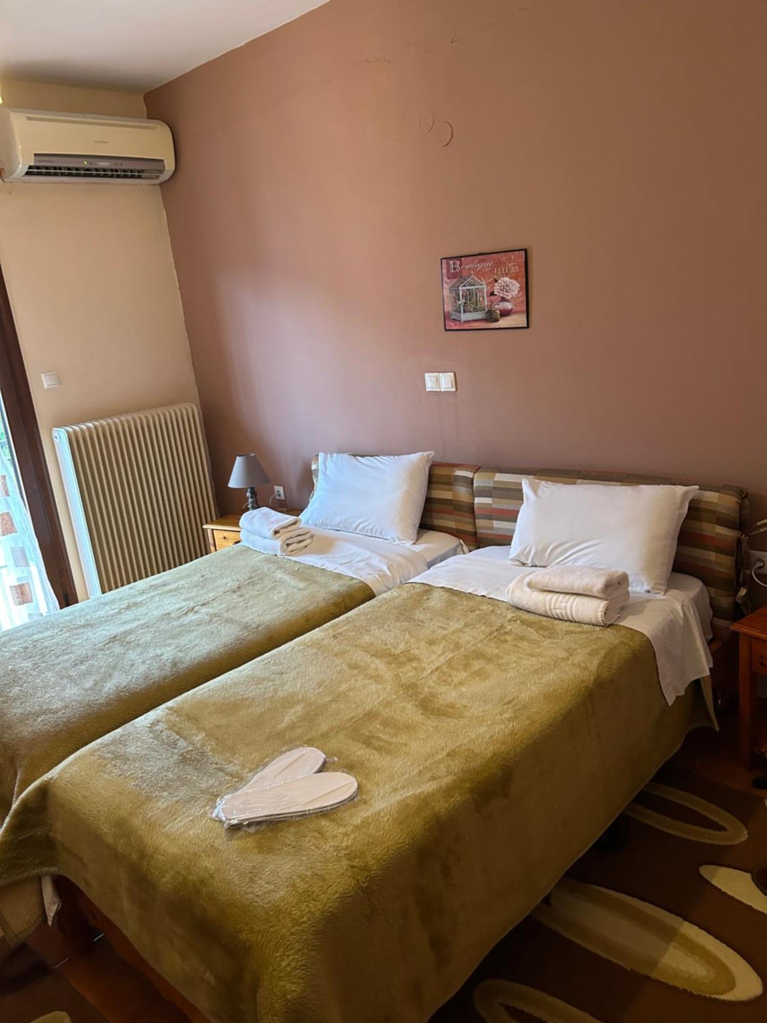 Hotel Aoos Kónica Kültér fotó