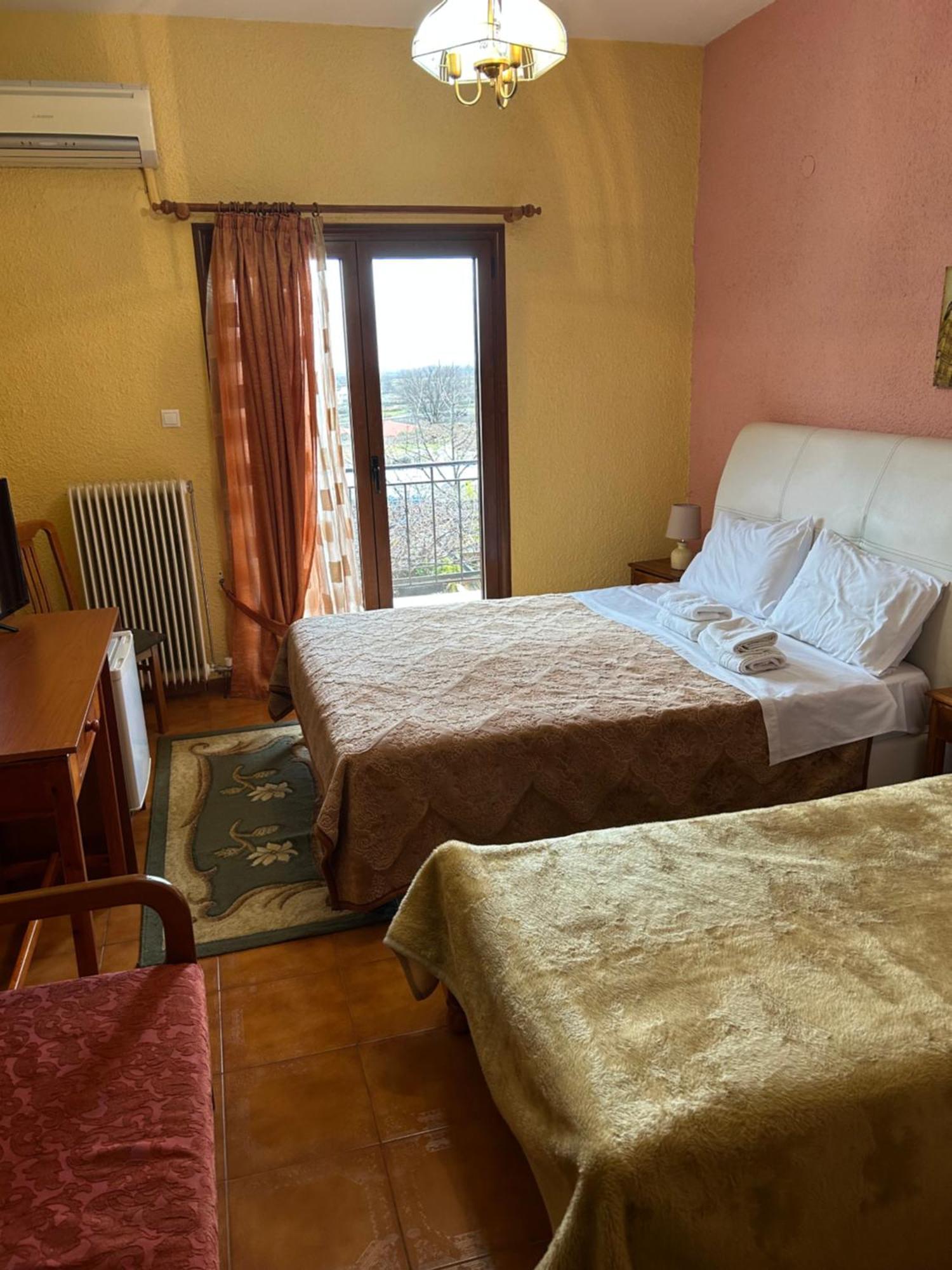 Hotel Aoos Kónica Kültér fotó