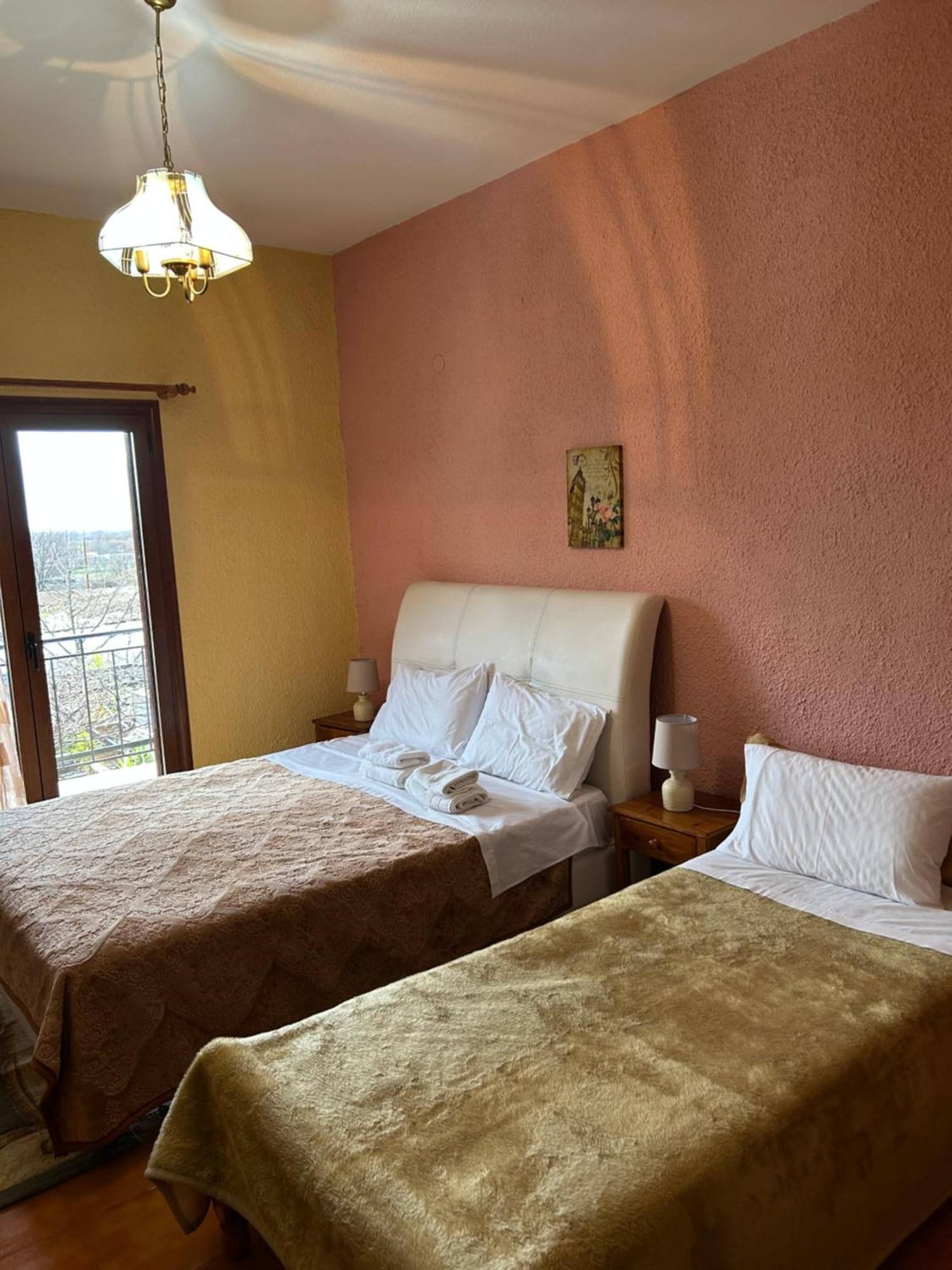 Hotel Aoos Kónica Kültér fotó