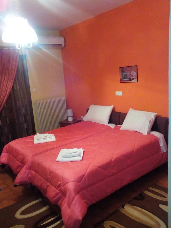 Hotel Aoos Kónica Kültér fotó