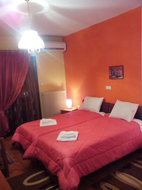 Hotel Aoos Kónica Kültér fotó