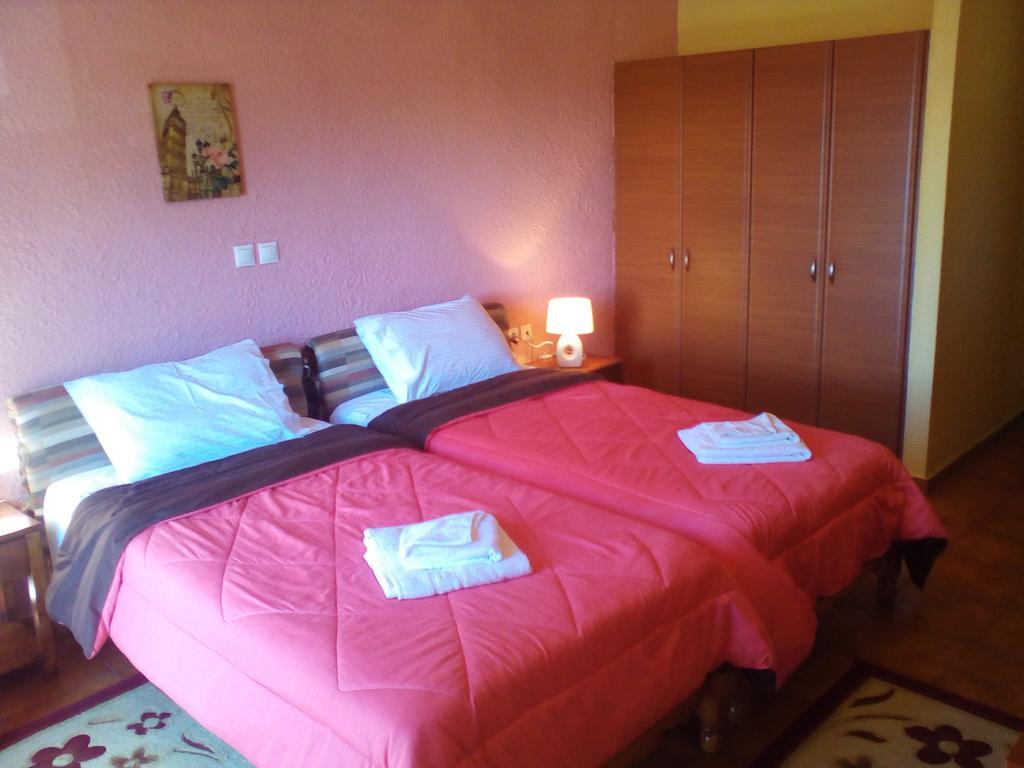 Hotel Aoos Kónica Kültér fotó